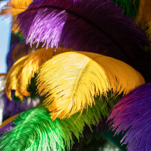 Mardi Gras Rooster Feathers - 18 pcs 8-10 inch Feathers Bulk for DIY Crafts Mardi Gras Masquerade Carnival Party Performances Decoration