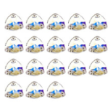 Hand-Sewn Diamond Glass Crystal Double-Hole Flat-Bottomed Diamond DIYclothing Accessories Crystal,Used for Clothing,Bags