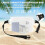 2 Pack Waterproof Phone Pouches with Waist Straps – Touchscreen Friendly, Compatible with iPhone & Android 2