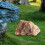 Artificial Rock Lightweight PU Natural Texture for Decorating Rivers Squares yellow 5