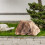 Artificial Rock Lightweight PU Natural Texture for Decorating Rivers Squares yellow 6