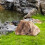 Artificial Rock Lightweight PU Natural Texture for Decorating Rivers Squares yellow 7