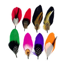 Hat Feathers for Fedora Cowboy Hats Feathers for Trilby Hat Men Women Cowboy Hat Quantity 10