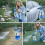 Pro-Kleen Manual Garden Pump Sprayer - 2L 10