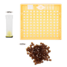 Beehive Queen Breeding Equipment, Easy To Use Bee Cage Holder Accessory, Durable Apiculture Tools For Solid And Reliable Performance