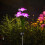 Εξωτερικά ηλιακά φώτα κήπου, 5 LED Sunflower, αδιάβροχα, αυτόματη 5