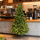 Pre-Lit Artificial Christmas Tree 4FT 200LED 332 Tips 16 7