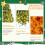 Pre-Lit Artificial Christmas Tree 4FT 200LED 332 Tips 16 2