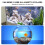 Medium Bubbles Aquarium Stone, Increase Oxygen Solubility with High-Efficiency Aeration and Filtration, Sandstone Diffuser That Boosts Water Movement 8