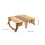 Folding Picnic Table 5