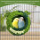 Fluffy Bird Nest Hammock Bed for Small Birds Medium 5
