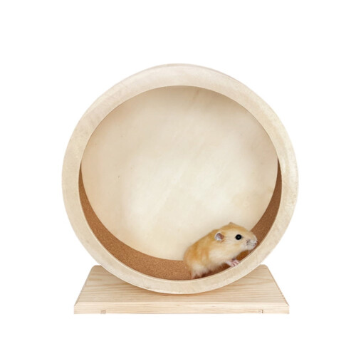 Hamster Running Wheel Cage Accessory Pet Exercise Baby 1