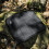 Portable Waterproof Camping Mat Foldable Travel Pad 5