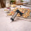 Cookie Press Gun Biscuit Maker 24pc Stainless Steel Icing Decorating Set 3