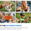 Thumb-Size WiFi Mini Camera  Action Cam with 32GB White 6