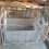 Haven Ventilated Outdoor Indoor Cat House 4