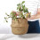 Straw Wicker Rattan Hanging Flowerpot Basket 2
