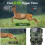 Trail Camera with Night Vision (2.7K 32MP) 5