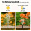 Solar Fountain Pump for Outdoor Waterscapes 8