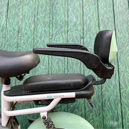 Electric Bicycle Rear Seat Safety Guardrail 1