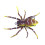 Δόλωμα ψαρέματος Phantom Spider, 3", αυτορυθμιζόμενο έρμα, δόλωμα χωρίς ζιζάνια για 1
