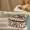 Garment Steamer Case Leopard Print Travel Bag 2