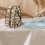 Garment Steamer Case Leopard Print Travel Bag 3