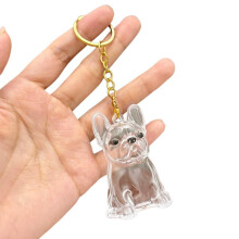 Memorial Keychain for Dog Hair,Small Acrylic Pet Fur Keepsake,2025 New DIY Pet Furs Collection Kechain,Dog Ashes Keepsake