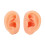 Teaching Ear Model,Human Both Ear Model,Silicone Ear Model Human Artificial Ear Display For IEM Earphones Display Lecturing 2