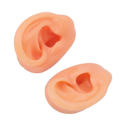 Teaching Ear Model,Human Both Ear Model,Silicone Ear Model Human Artificial Ear Display For IEM Earphones Display Lecturing 2