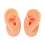 Teaching Ear Model,Human Both Ear Model,Silicone Ear Model Human Artificial Ear Display For IEM Earphones Display Lecturing 4