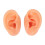 Teaching Ear Model,Human Both Ear Model,Silicone Ear Model Human Artificial Ear Display For IEM Earphones Display Lecturing 6