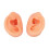 Teaching Ear Model,Human Both Ear Model,Silicone Ear Model Human Artificial Ear Display For IEM Earphones Display Lecturing 7