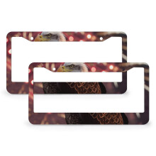 Patriotic Eagle Fireworks License Plate Cover Stainless
