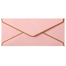 Business Envelopes with Gold Border #10 150gsm