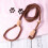3Pièces Laisse Formation Café Nylon Durable 10