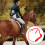 5Pièces Licols Chevaux De Protection En Matériau 10