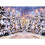 W-192 Christmas Backdrop 2.1m x 1.5m / 7x5ft 3