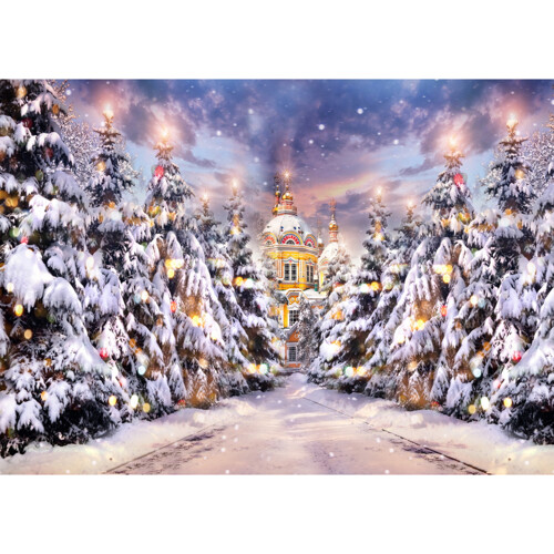 W-192 Christmas Backdrop 2.1m x 1.5m / 7x5ft 2