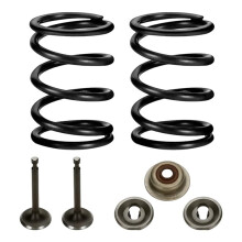 Racing 18lb Valve Springs Kit for 196cc 212cc 224cc Non Hemi GX160 GX200 6.5HP OHV Clone Engine Bike