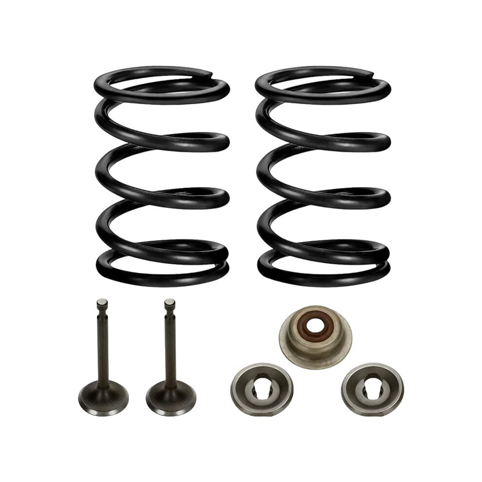 Racing 18Lb Valve Springs Kit For 196Cc 212Cc 224Cc Non Hemi Gx160 Gx200 6.5Hp Ohv Clone Engine Bike 4713954346143