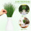 48Pcs Artificial Grass Model Light Green Plastic Home Decor 6