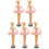 25Stk Ballettpuppe Kunststoff Für Sammlung 2
