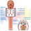 Bluetooth Karaoke Microphone for Kids Rose Gold 5