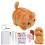 Needle Felting Kit Beginner Wool Craft Set with Tools and 4