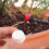 80Pcs White PVC Threaded Pipe End Caps for Leak Protection 11