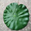 10Pièces De Lotus Simulées Vertes Pour Déco Étang Aquarium 5
