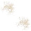 200Pcs Golden Silver Ear Wire Hooks Earring Findings with Spring Ball 6