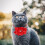5Pcs Red Plush Dog Collar Adjustable Rhinestone Decorative Pet Collar 4