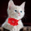 5Pcs Red Plush Dog Collar Adjustable Rhinestone Decorative Pet Collar 5